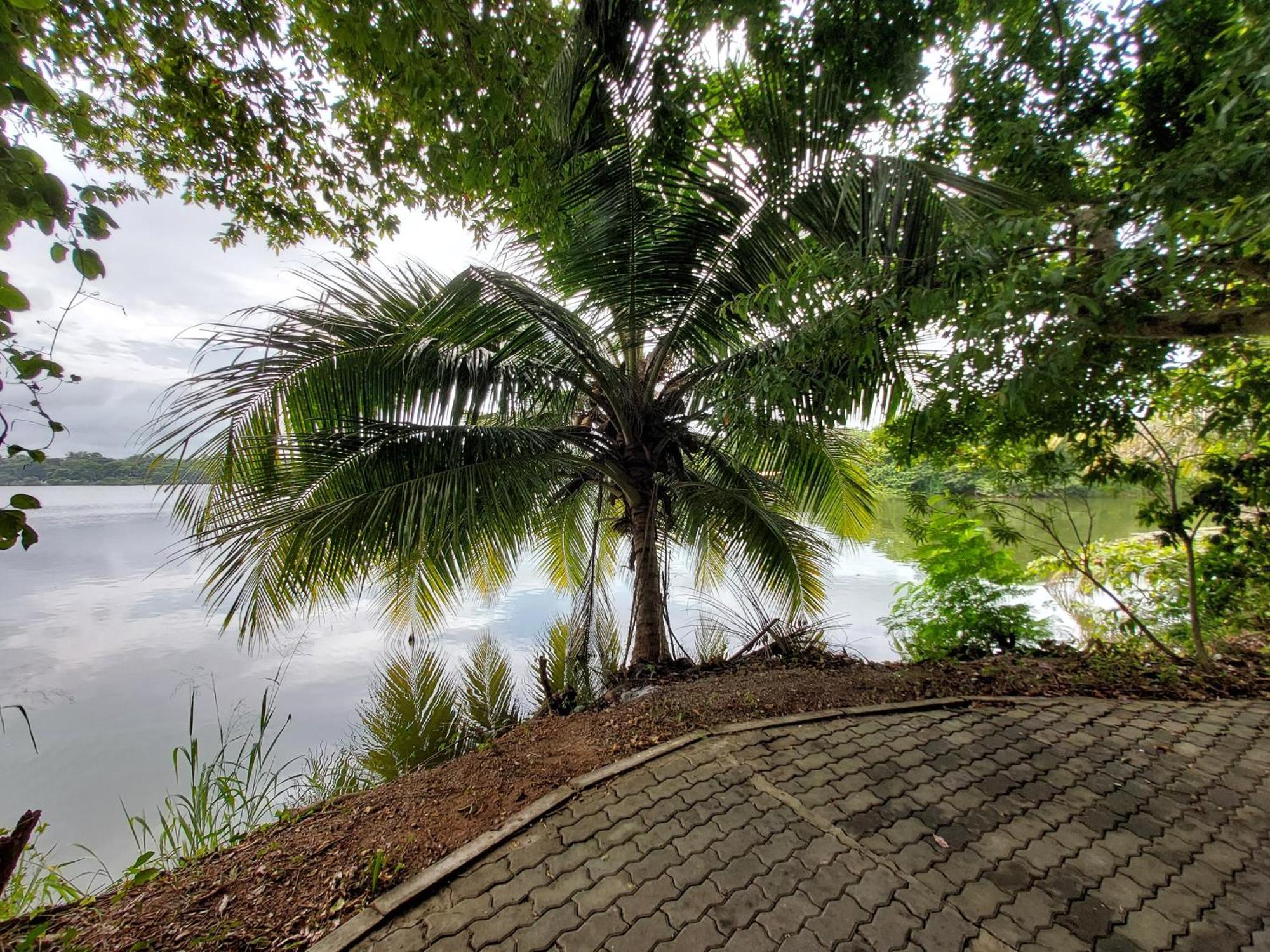 Lake Wave Hotel Anuradhapura Exterior foto